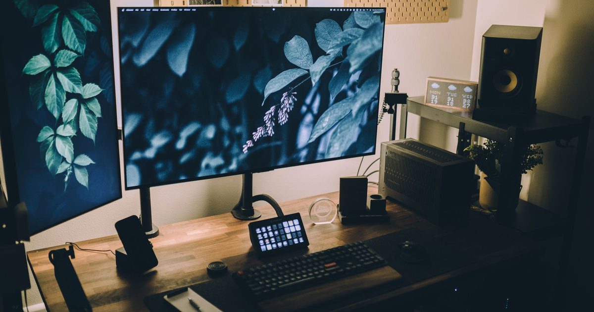 two monitors side by side on black desk arms showing leaf wallpaper